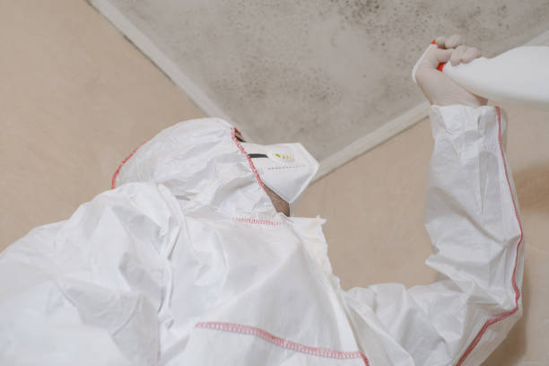 Best Certified Mold Removal  in Winfield, MO