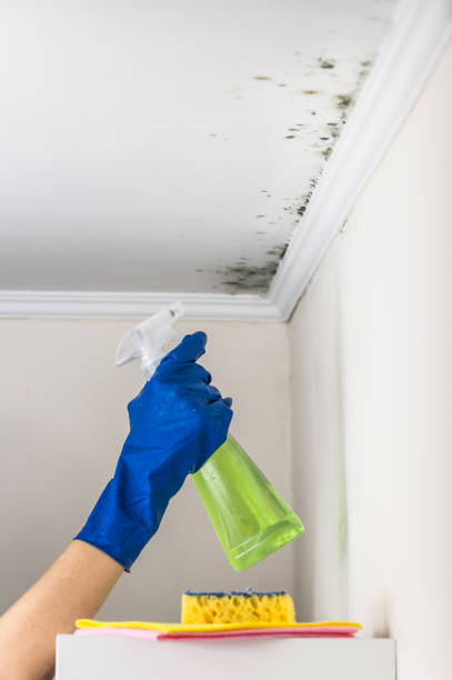 Crawl Space Mold Removal in Winfield, MO